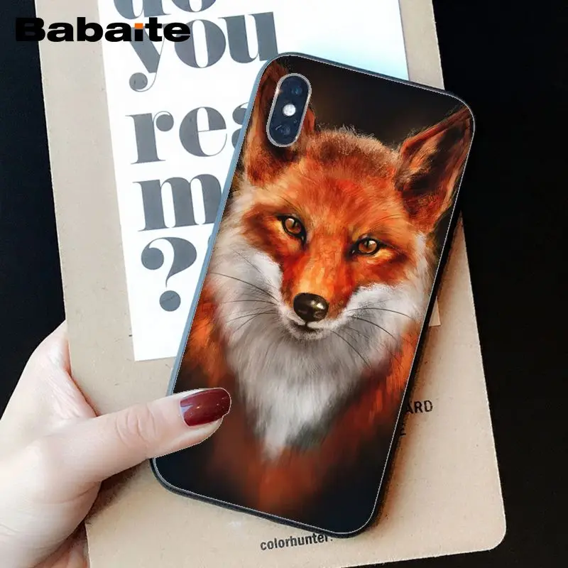 Animal More Cute Fox cat