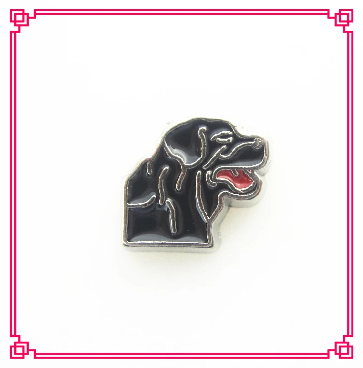 

New arrive 20pcs/lot Labrador Retriever dog floating charms living glass memory floating lockets for diy jewelry