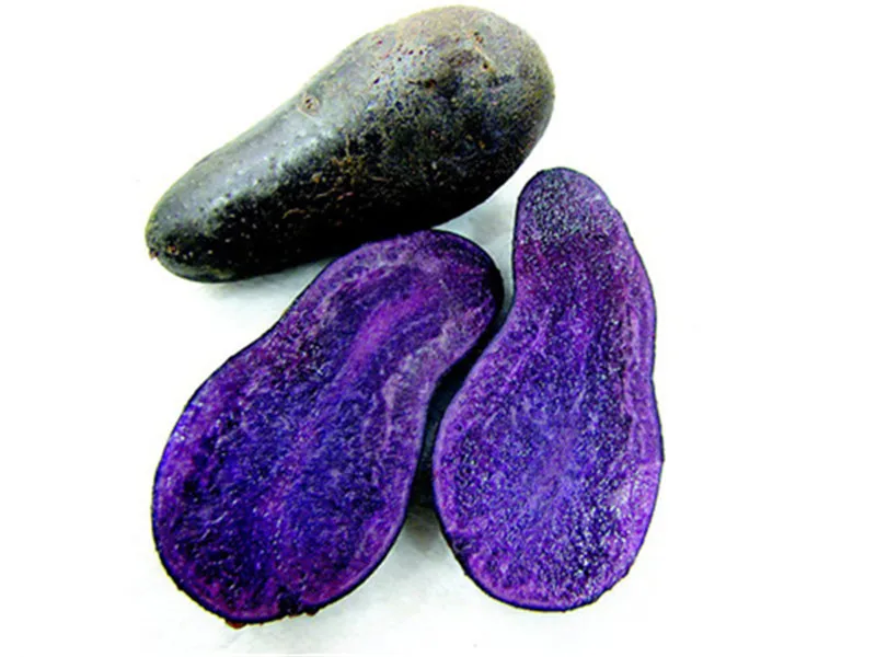New 200 Pcs Purple Potato Bonsai Purple Sweet Potato Delicious Nutrition Green Vegetable Bonsai Home Garden NO GMO The Best Gift New 200 Pcs Purple Potato Bonsai Purple Sweet Potato Delicious Nutrition Green Vegetable Bonsai Home Garden NO GMO The Best Gift