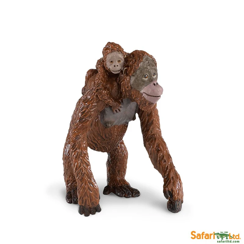 Borneo orangután nuevo modelo de mamíferos detallada de Plástico Juguete por Safari Ltd 13 X 13cm 