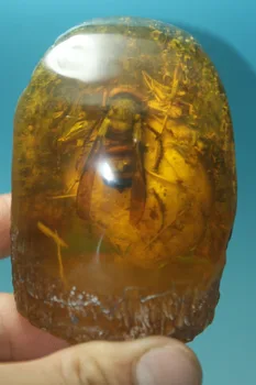 

Old amber unique amber art collection and home for free shipping