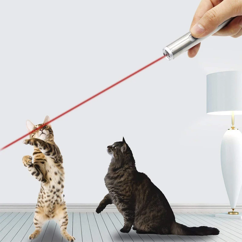 Funny Pet Cat Laser Pen Stainless Steel Cat Laser Toy Without Battery