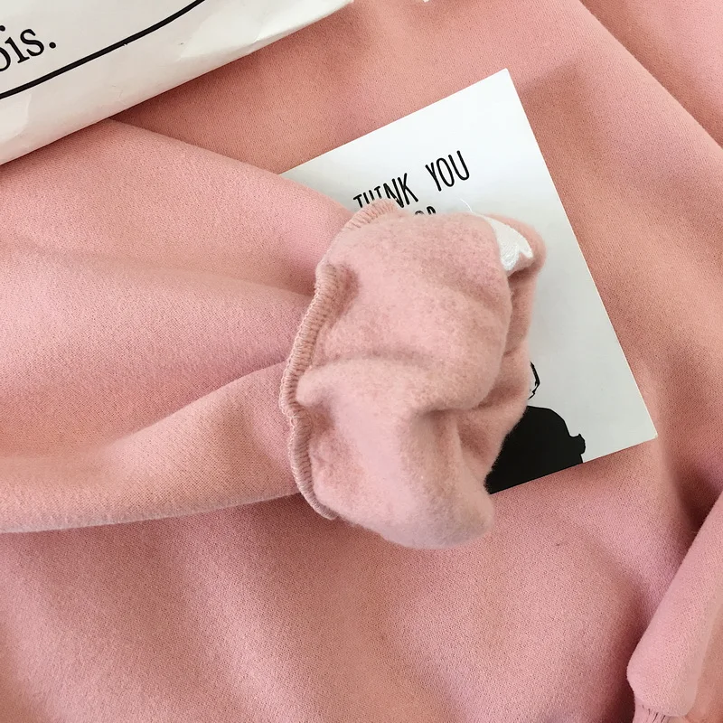 Hoodies Women Thicker Simple Sweet Pink All-match Korean Style Solid Womens Elegant Leisure Ladies Sweatshirts Students Lovely Hoodies Women Thicker Simple Sweet Pink All-match Korean Style Solid Womens Elegant Leisure Ladies Sweatshirts Students Lovely