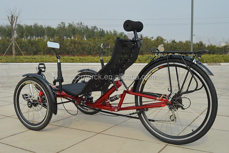 recumbent tadpole trike 2.jpg