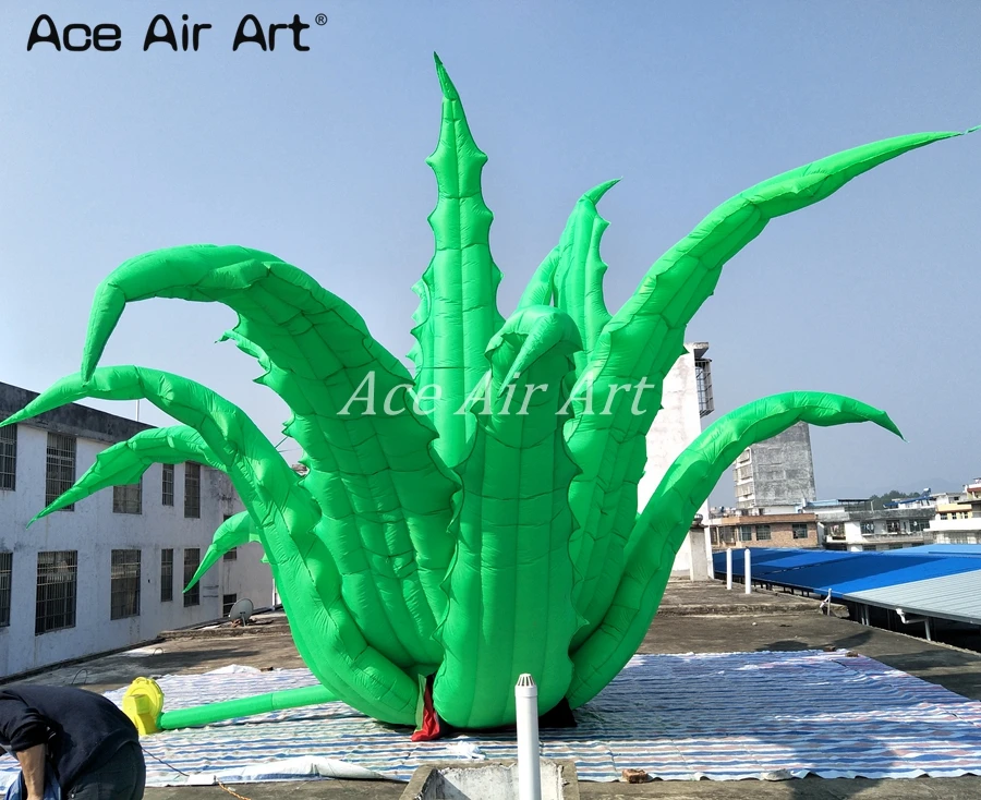 new design awesome 8 m diameters standing giant plants Inflatable grass aloe vera for event,party decoration new design awesome 8 m diameters standing giant plants Inflatable grass aloe vera for event,party decoration