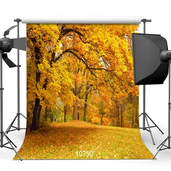 

SJOLOON autumn photography background fall leaves photo backdrops lover baby photography background photo studio thin viny props