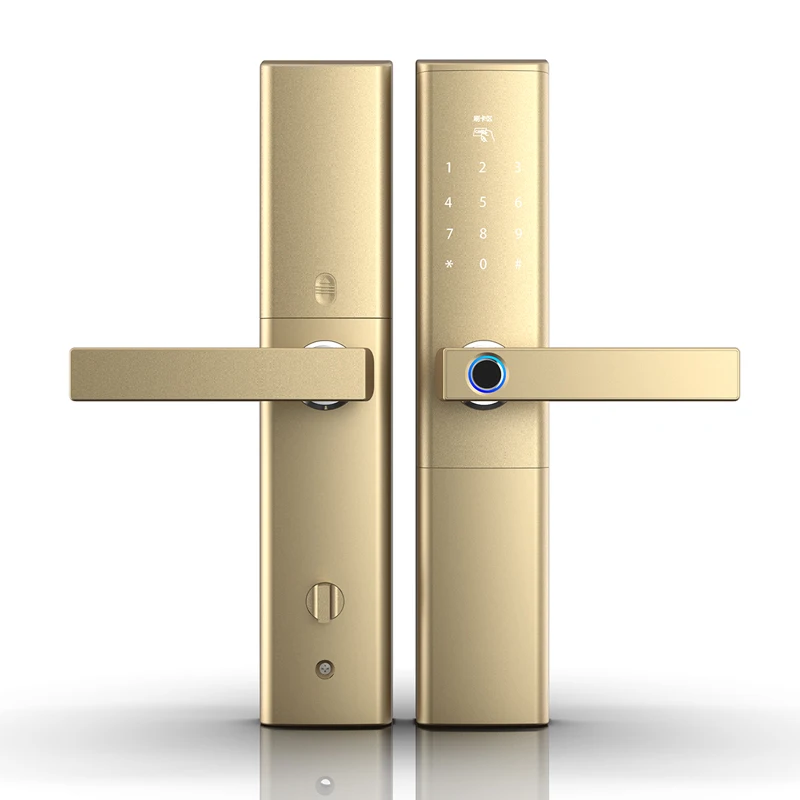 WiFi дверной замок с отпечатком пальца, водонепроницаемый электронный дверной замок, интеллектуальный биометрический дверной замок, умный замок с отпечатком пальца с приложением