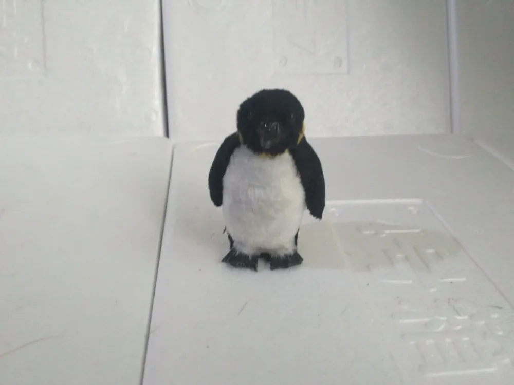 

polyethylene&furs mini penguin 8x5cm model manual handicraft ornament home decoration gift a2177