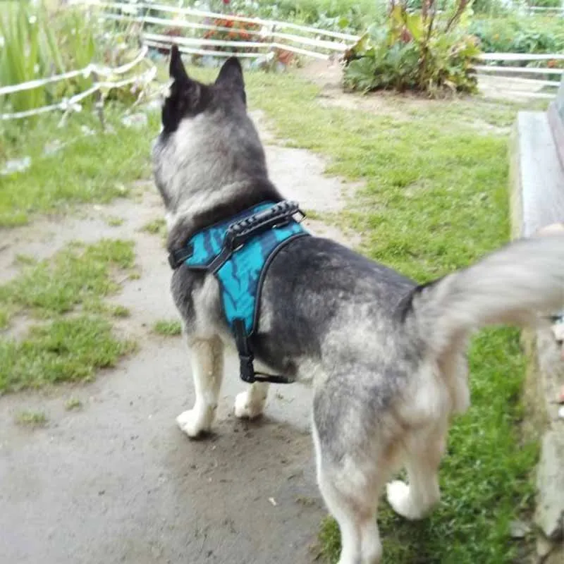 

Dog Collar Dog Harness Large Pet Harness Vest with Reflective Strong Nylon Strap Breathable Adjustable Small Dog Accessories