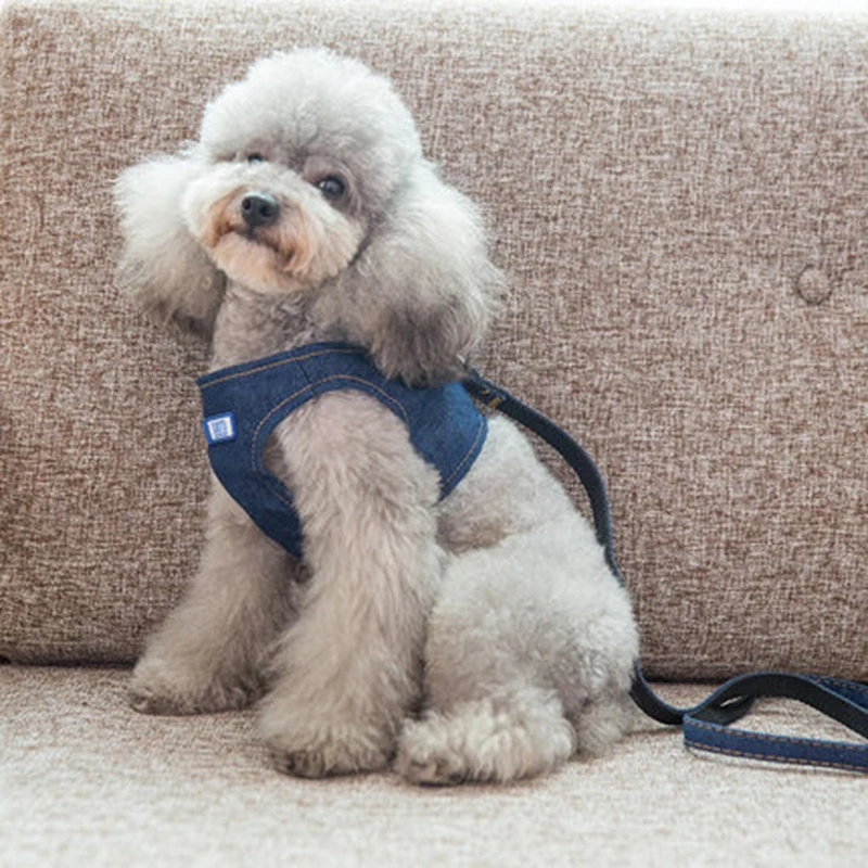 dog clothes (8)