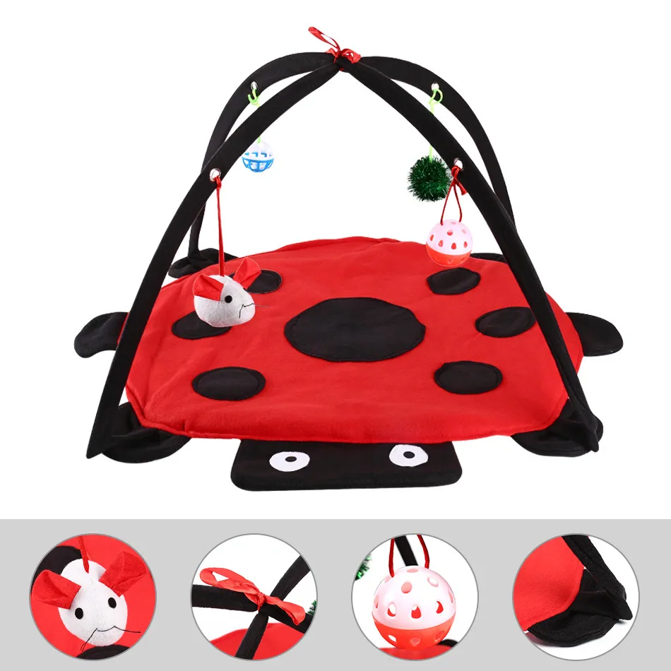 cat interactive toy