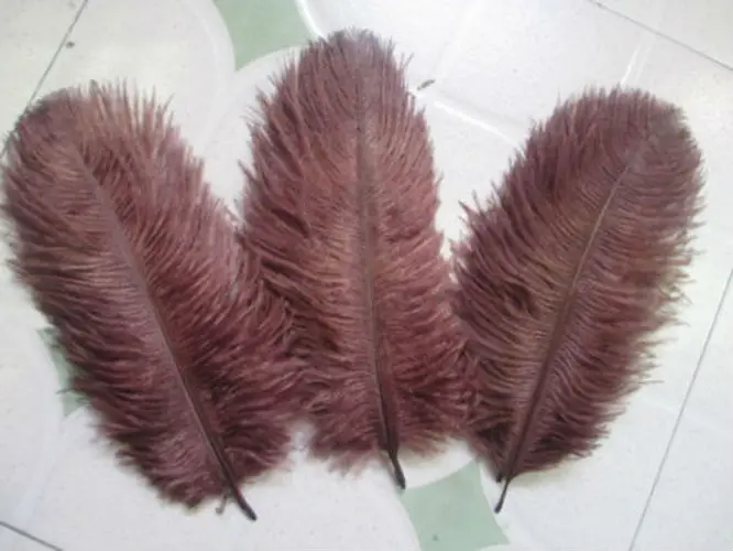 

perfect! Sales 10pcs15-20CM Beautiful brown ostrich feather, DIY jewelry accessories, wedding decorations