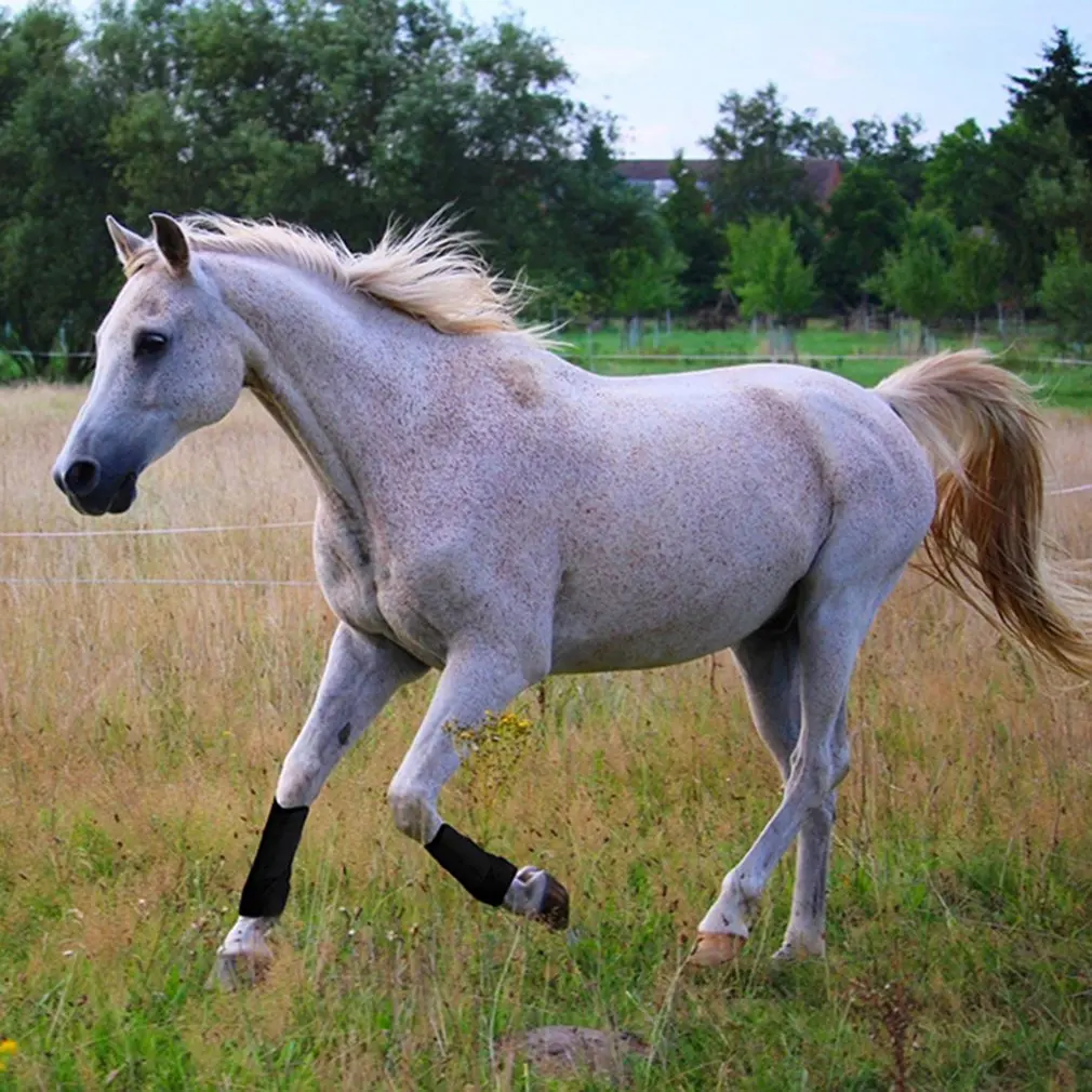 لينة فلنلت الحصان يغطي الرجل حامي ركوب معدات الفروسية سباق الخيل ممارسة الأحذية المعدات