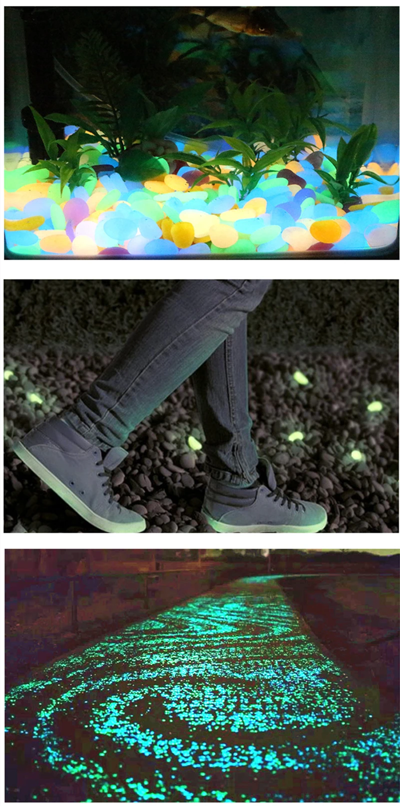 BMDS06 (17)