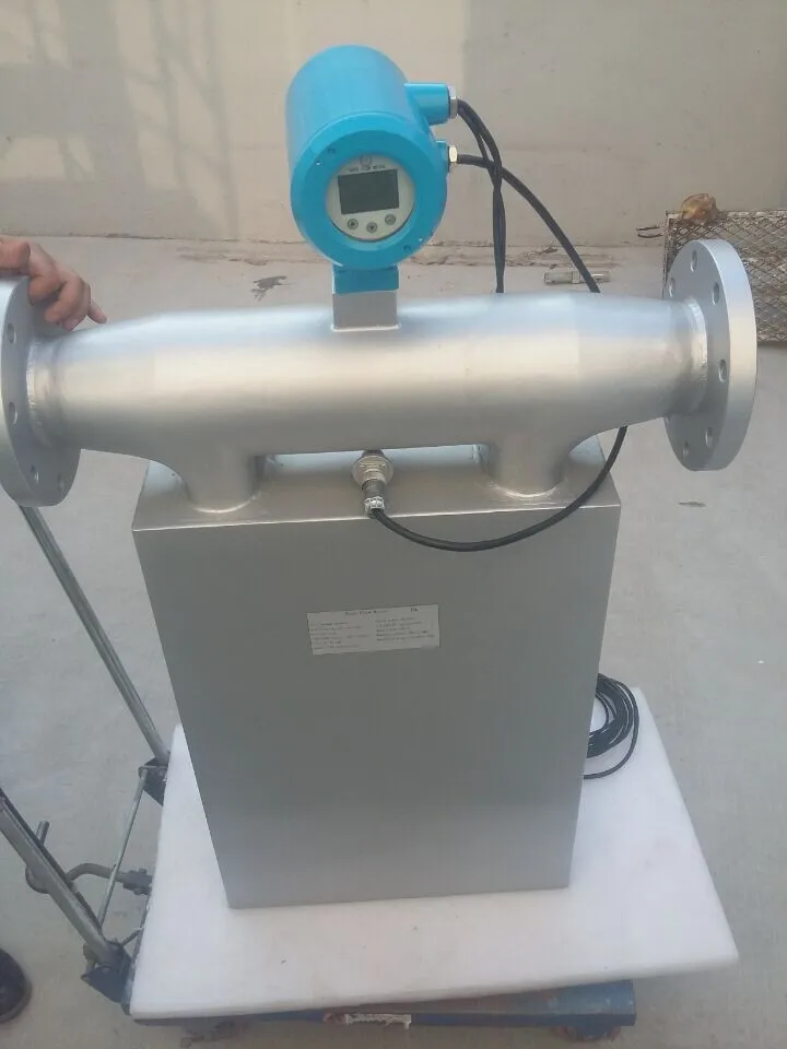 Coriolis mass flowmeter03