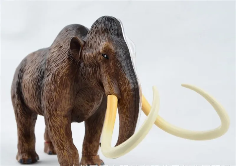 Skeleton Cows MYSXSWHL 4D Woolly Mammoth Anatomy Model Animal