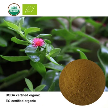 

USDA and EC Certified organic andrographis paniculata extract 10;1