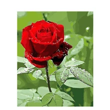 Красная роза ручной работы краски высокое качество холст красивые краски ing по номерам Сюрприз подарок большое свершение