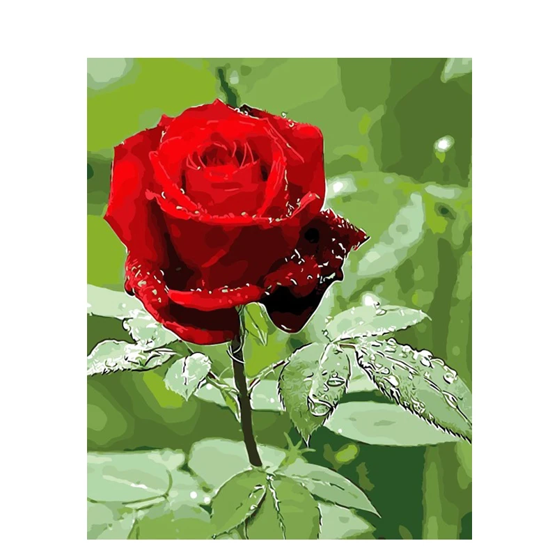

Red rose Hand Made Paint High Quality Canvas Beautiful Painting By Numbers Surprise Gift Great Accomplishment