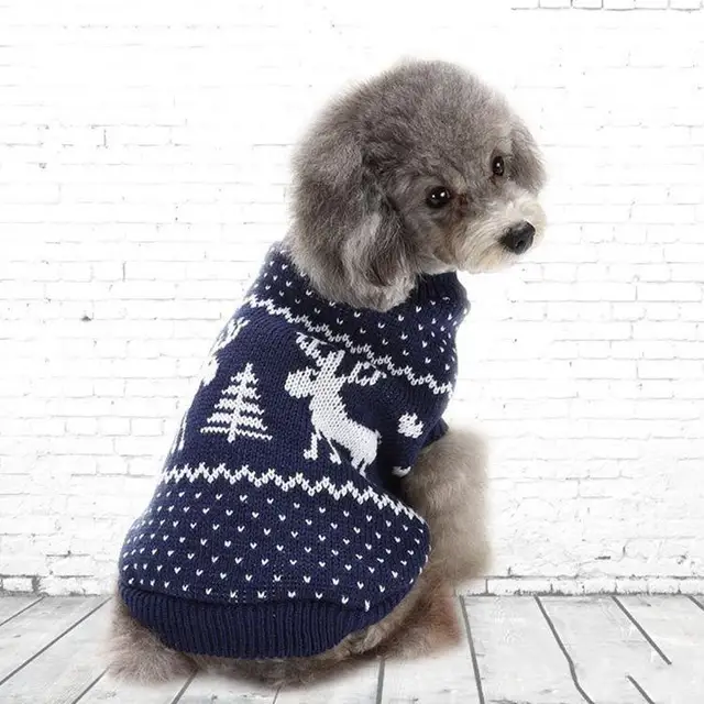 blue dog sweater