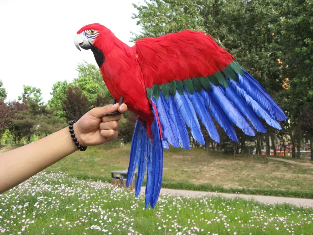 

large 40x60cm red&blue feathers parrot ,polyethylene&feathers spreading wings bird handicraft,garden prop decoration gift a2426