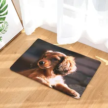 CAMMITEVER лиса собака коврики для животных 3D коврики для прихожей спальня гостиная чай кухонные коврики кухня ванная комната Декор
