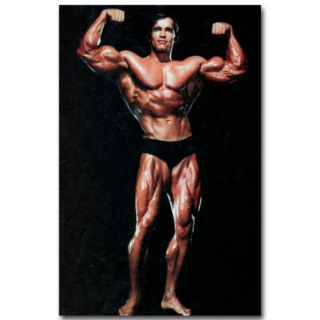 

Arnold Schwarzenegger Bodybuilding Motivational Art SILK POSTER Decorative Wall painting 24x36inch