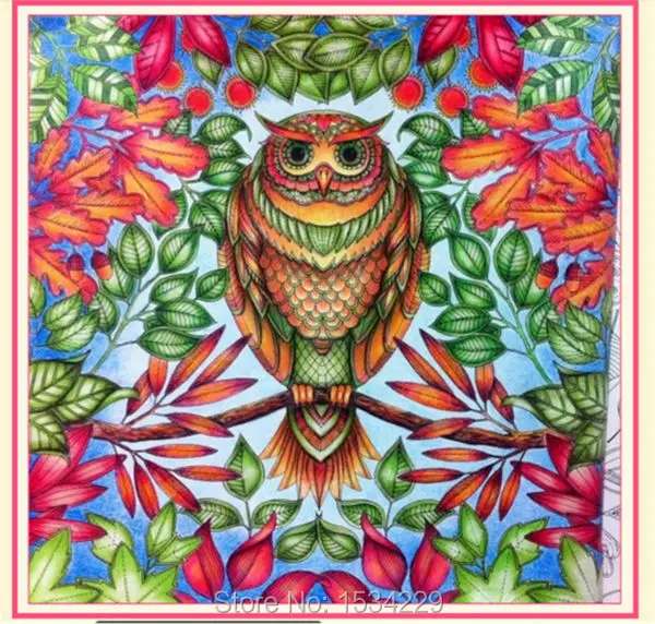 Book Send Via Email Secret Garden An Treasure Hunt And Coloring