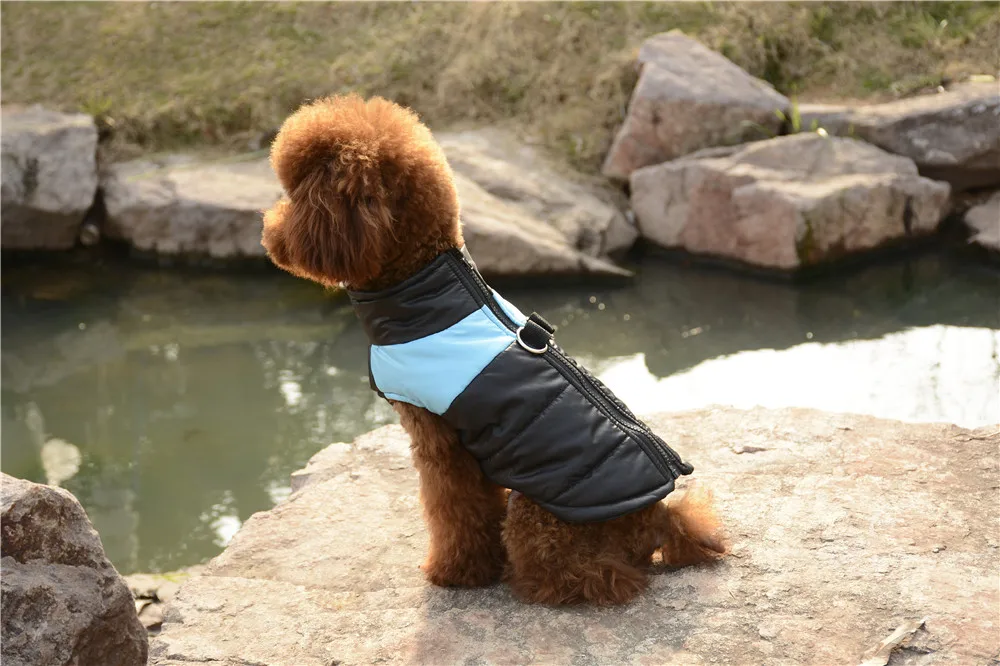 Большой Водонепроницаемый Pet Одежда Лидер продаж теплая куртка-пуховик щенок жилет одежда Водонепроницаемый Средний Большой Товары для собак модные