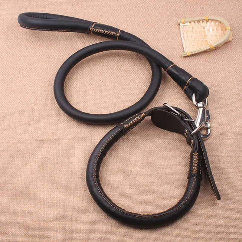 leash for dog