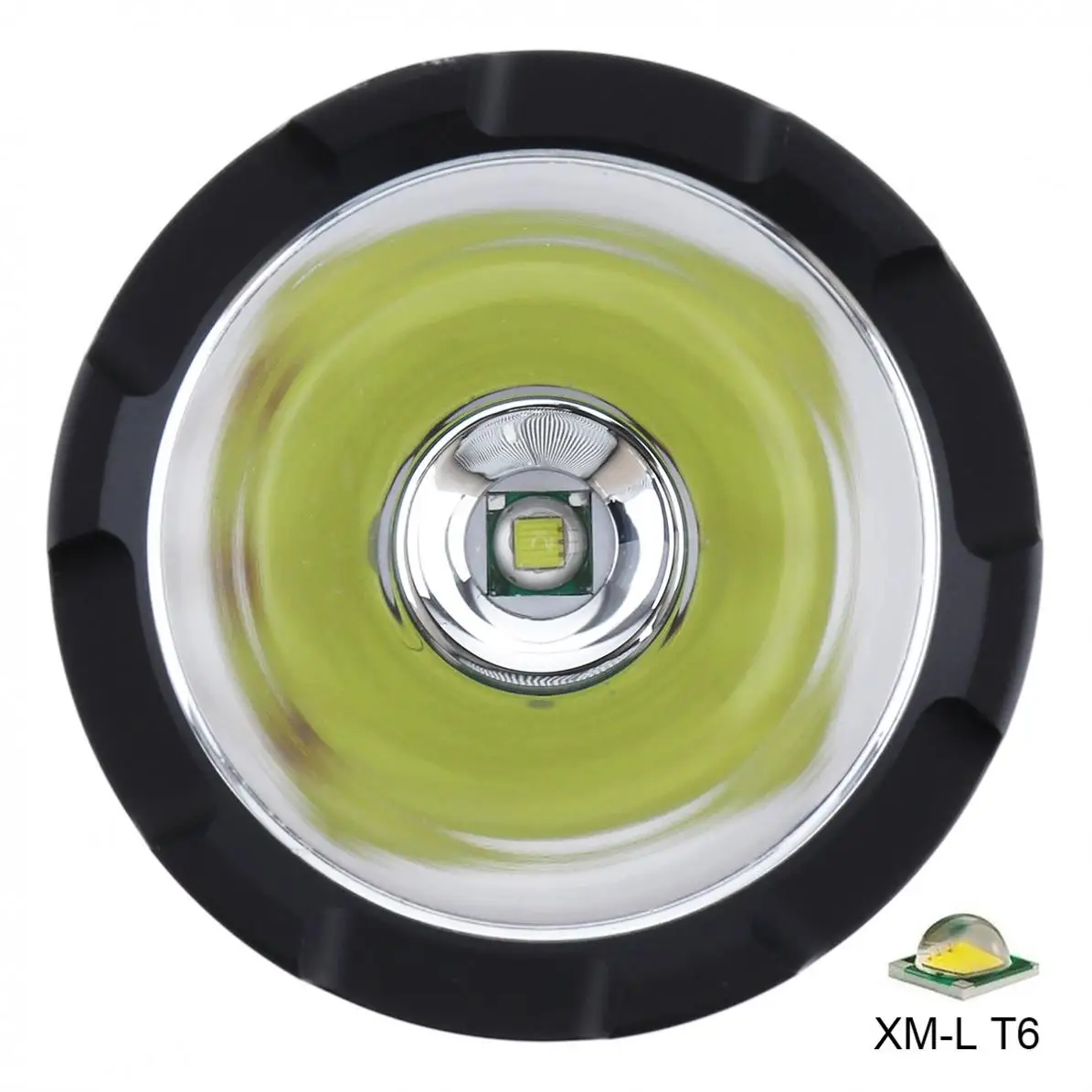 24461-description-4-l1.jpg