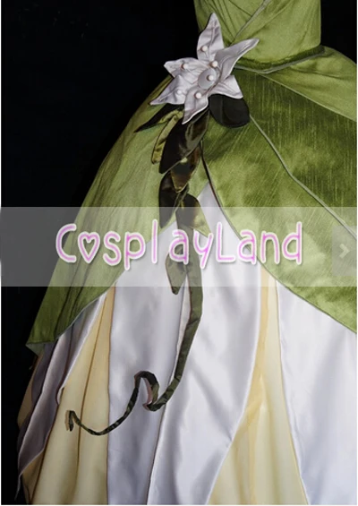 green emerald velvet dress Amazon.com: Disney Princess & The Frog Princess Tiana Costume for Women