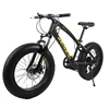 Fat Bike / Snow Bike 20 pouces, roue de largeur 4.0, cadre en acier à haute teneur en carbone, jante en alliage d'aluminium, freins à disque hydrauliques, 7 vitesses ► Photo 1/3