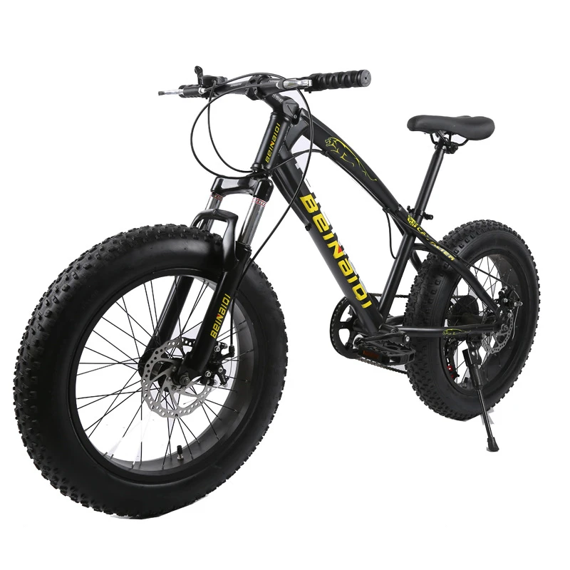 20 Inch Fat Bike / Snow Bike,4.0 Width Wheel,High Carbon Steel Frame,Aluminum Alloy Rim, Hydraumatic Disc Brakes,7 Speed