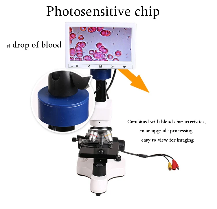 Professional Biological Microscope 400X with 3 Inches LCD Screen For Blood Detection Mites Aquaculture Instrument-12
