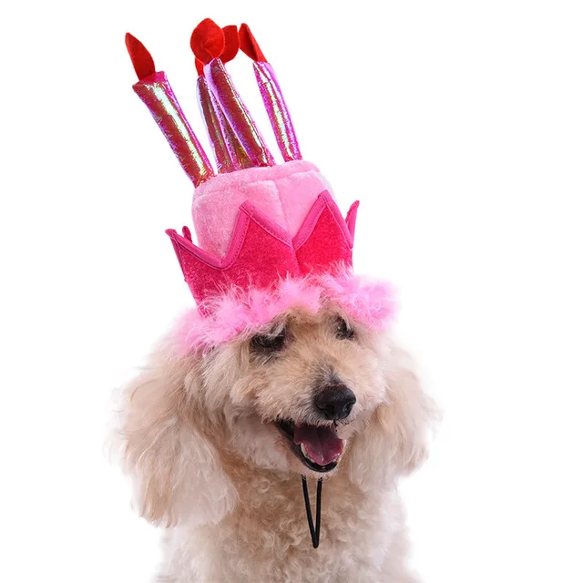 2017 new fashion pet birthday hat dog gifts supplies for puppy