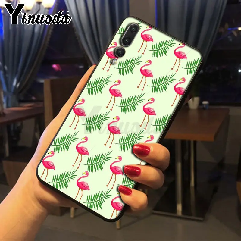 Colorful Flamingo