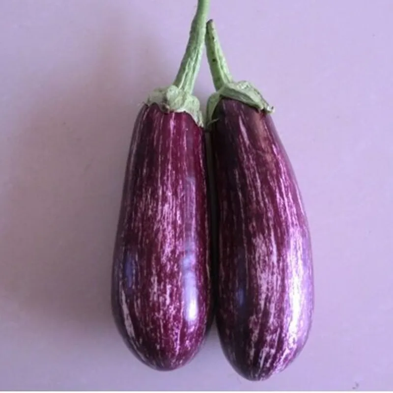 100pcs Purple Japanese Eggplant Seeds - Best Seeds Online ...