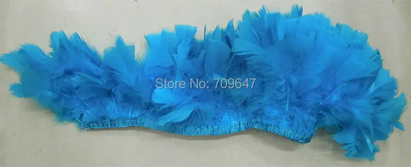 FCT0230 (3)