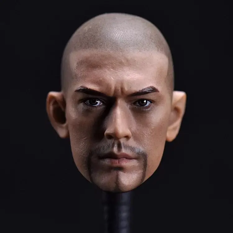 1/6 Takeshi Kaneshiro Samurai Head Sculpt Rooted Hair For 12" Hot Toys Figure 
