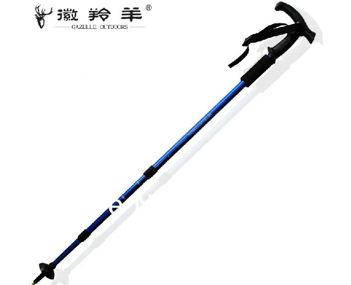 walking stick for mountain climbing