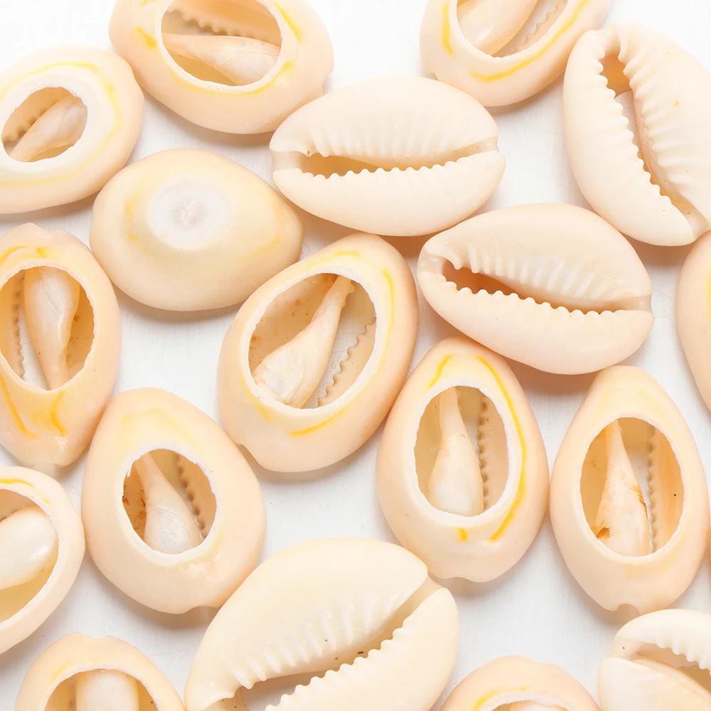 

20PCS/pack Natural Beach Seashell Conch Loose Beads Cowrie DIY Craft Jewelery Making Bracelet/Necklace Accessories