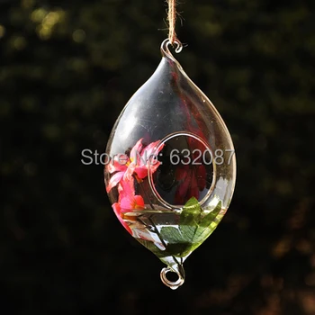 

8pcs/pack Fashion Two Hooks Hanging Glass Vase Glass Home Decorative Terrarium Beautiful Friend Gift