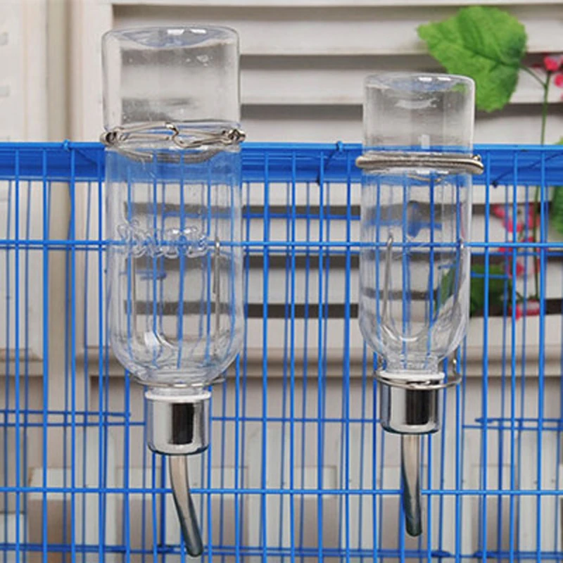 Hedgehog Pet Price >> Parrot Water dispenser Water feed device Totoro Squirrel Guineapig nipple feeder drinker ... Hedgehog Pet Price >> Parrot Water dispenser Water feed device Totoro Squirrel Guineapig nipple feeder drinker ...