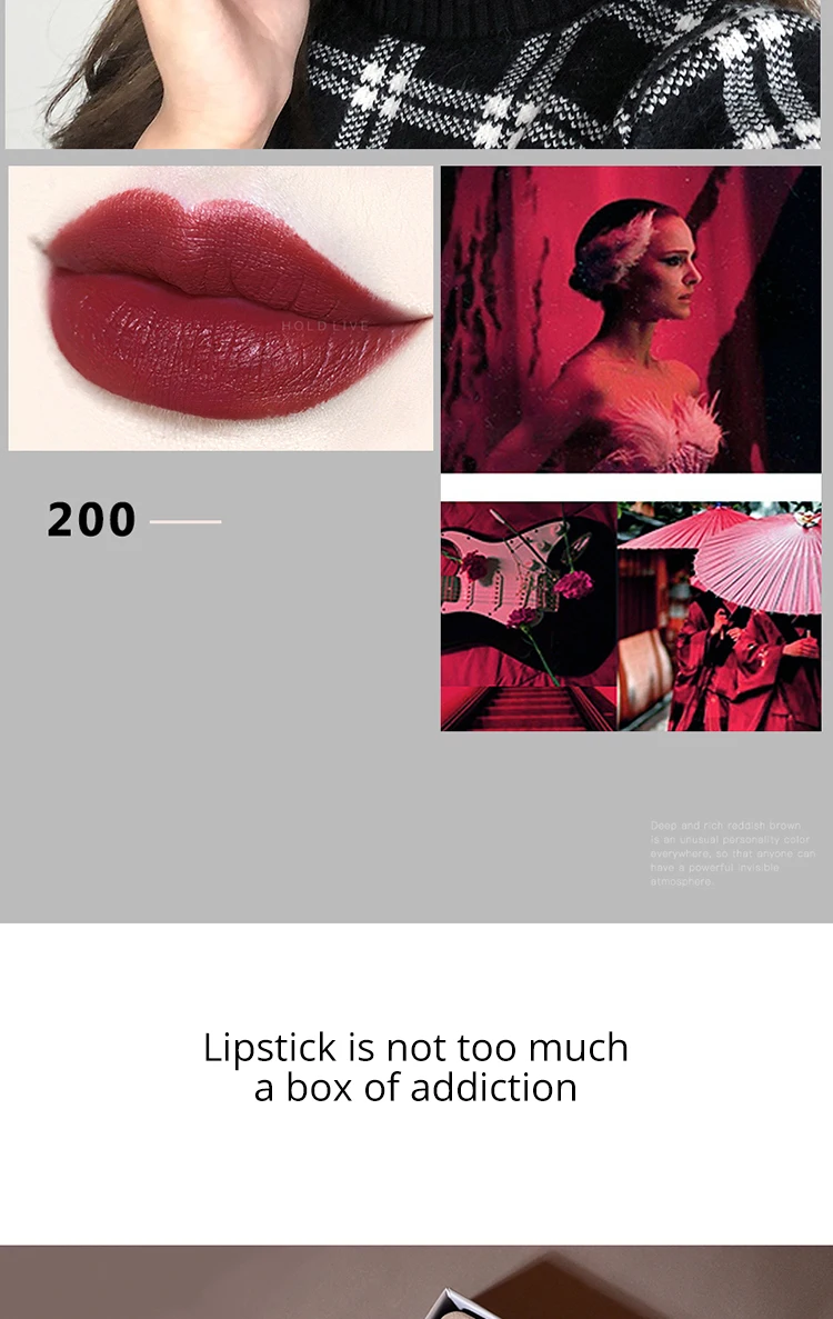 Brand HOLDLIVE 5Pcs Velvet Matte Lipstick Set (18)