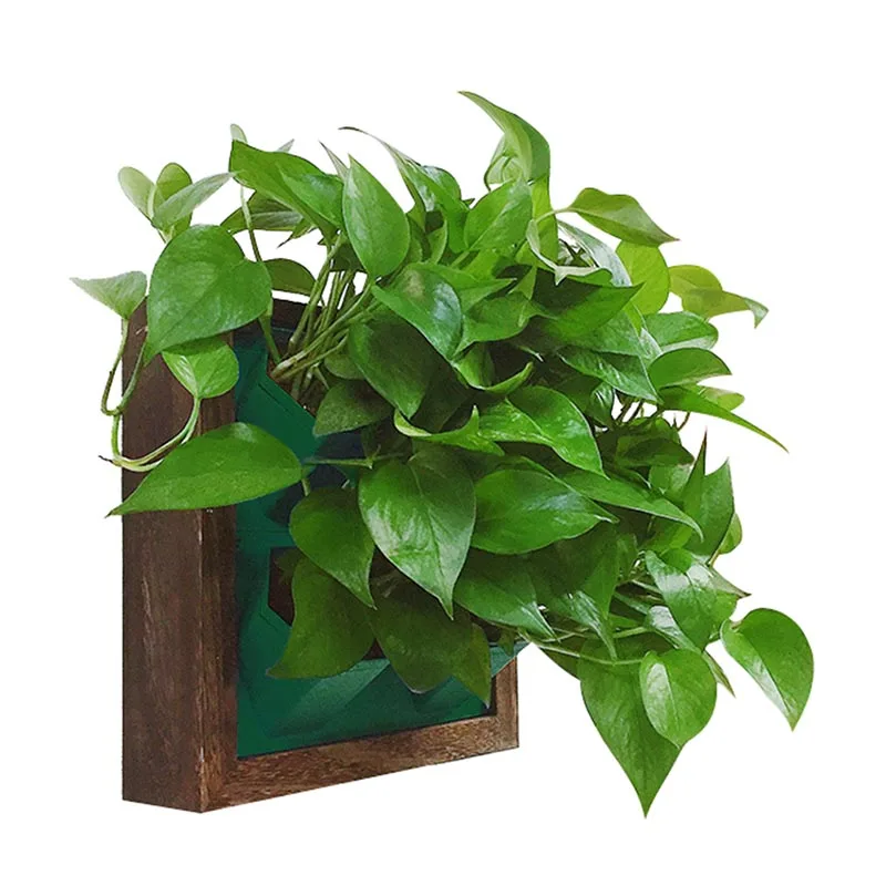 

Creative Hanging Flower Pot Automatic Watering Wall Planters Home Decoration Hanging Flower Pot Succulent Plant Wall Vase Bonsai