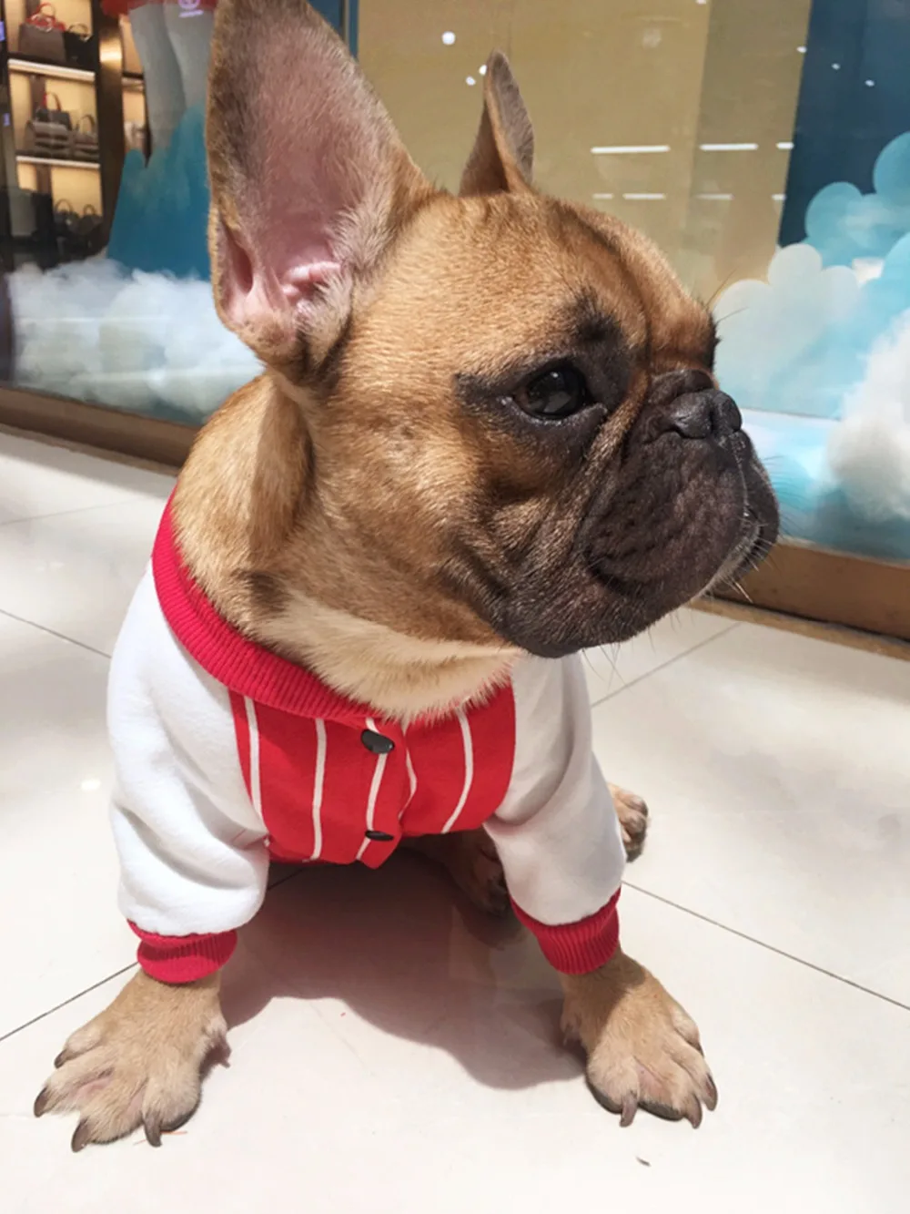 Y5_Fashion_Striped_Bulldog_Hoodies_Coat_Baseball_Style_Autumn_Pet_Dog_Clothes_For_Bulldog_Two_legs_Clothing_Apparel_ (10)
