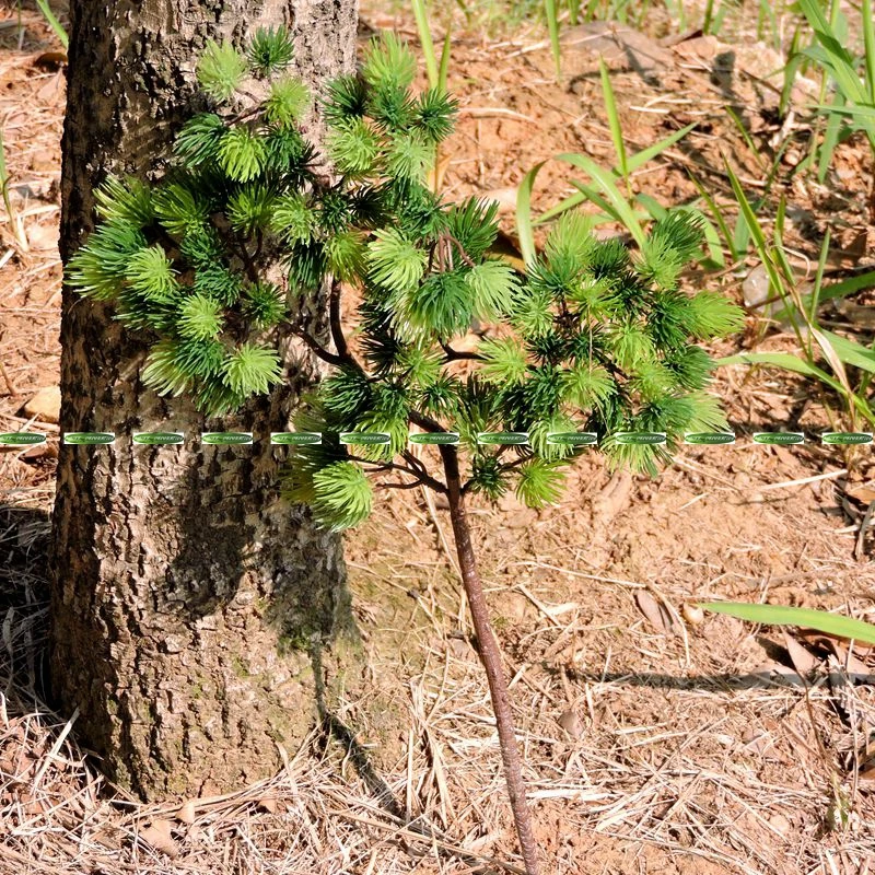 42cm Plastic Artificial Pine Evergreen Plant Tree Branch Wedding Home