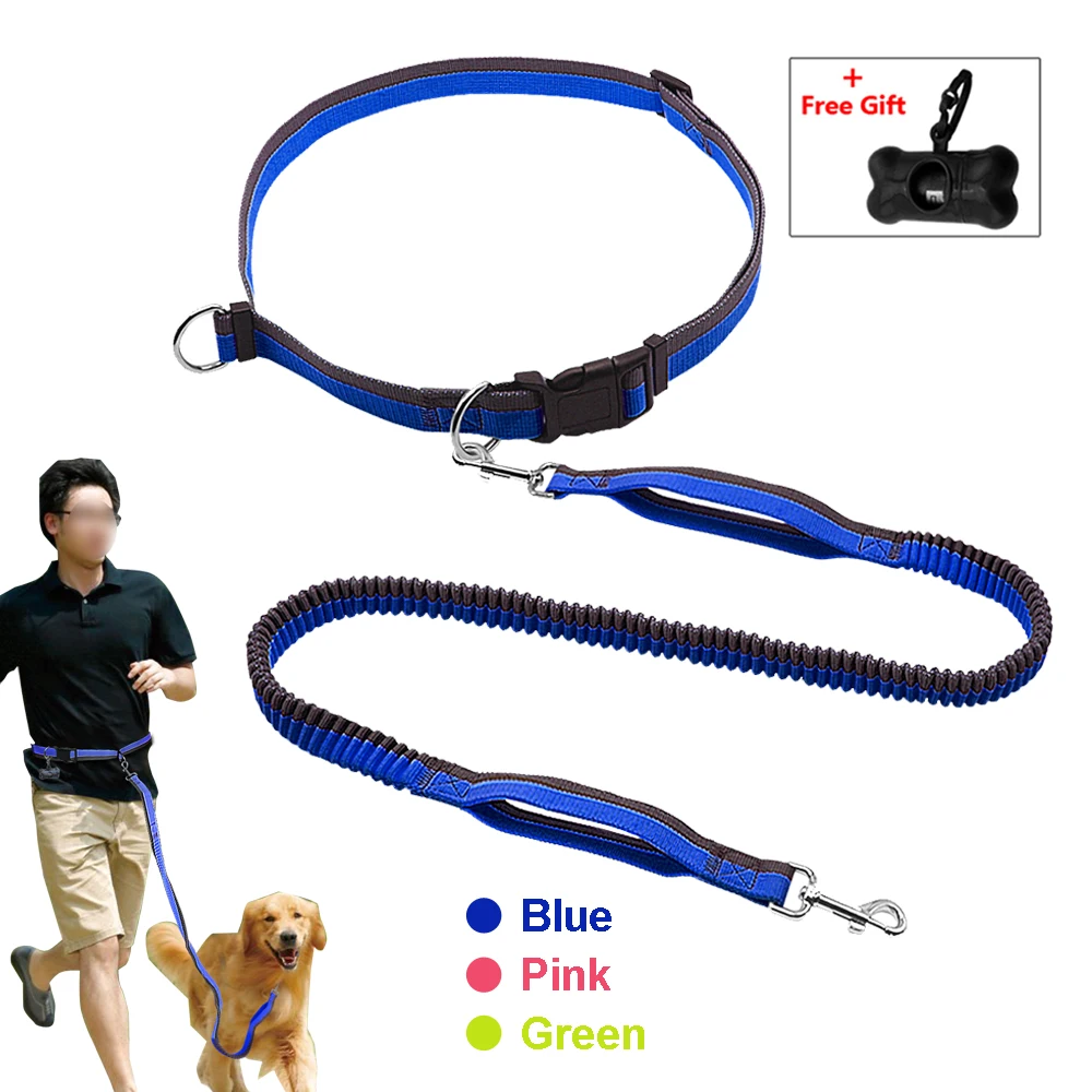 Buy Hands Free Dog Leash For Running Walking Elastic