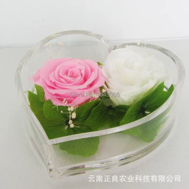 Preserved Flower Wedding Gift Of Eternal Life Spent Real Preserved Flower Wedding Gift Of Eternal Life Spent Real Flowers Never Fade Forever